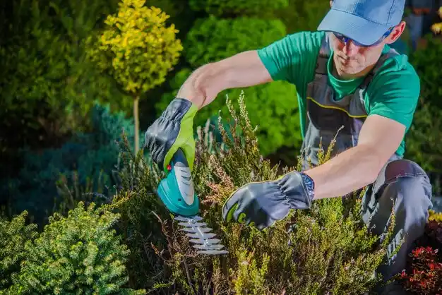 landscaping services Bromley